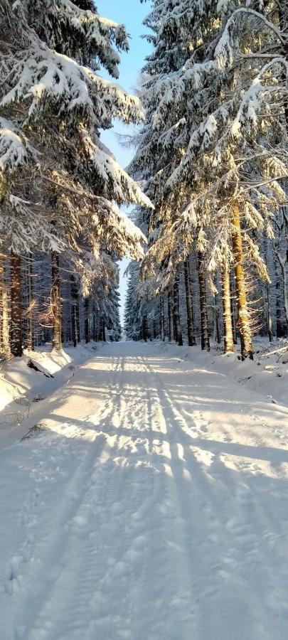 Apartman Petra Kovářská Buitenkant foto