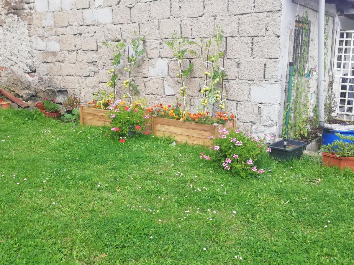 Apartman Petra Kovářská Buitenkant foto